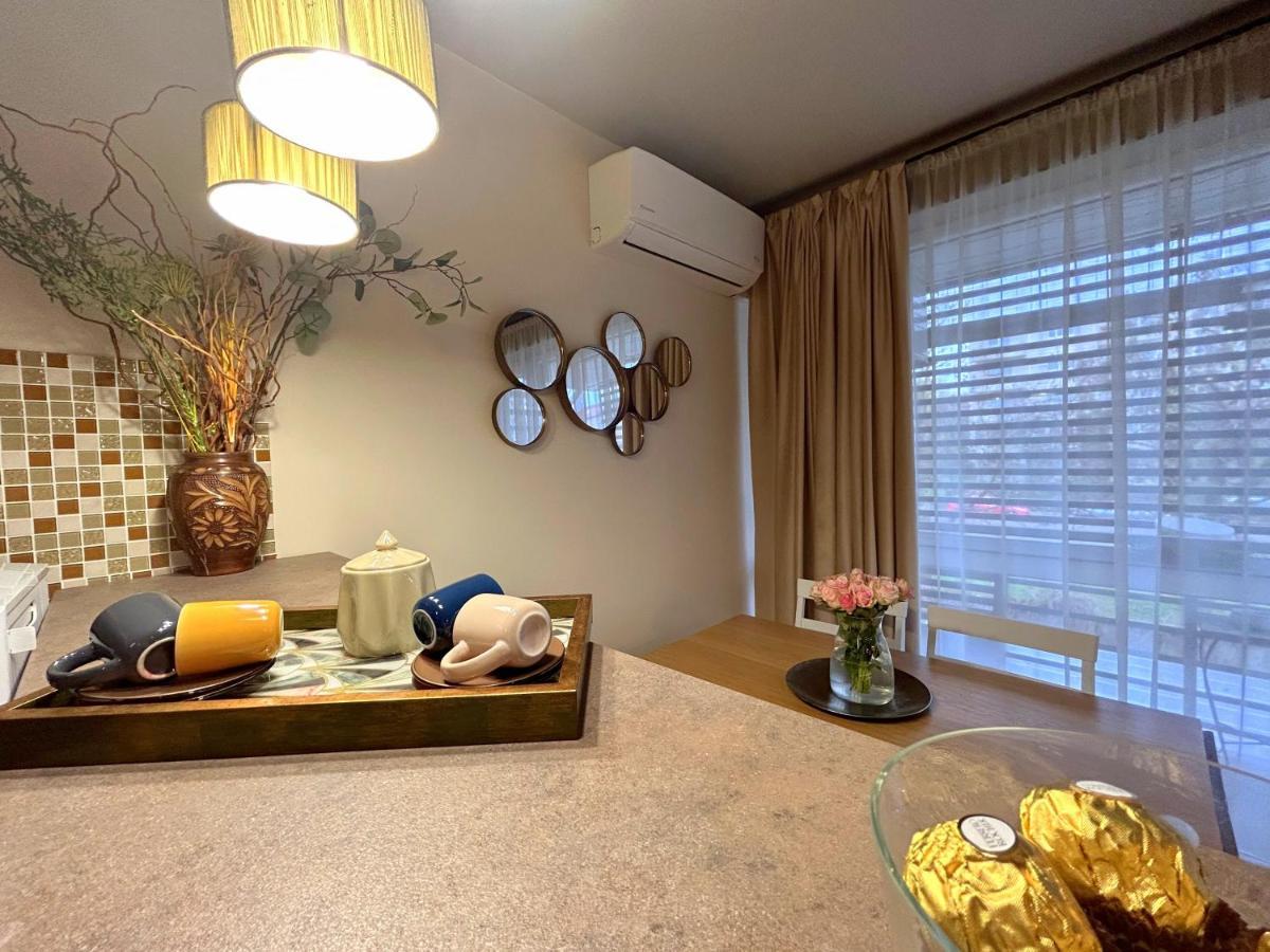 Thea Apartment Timisoara Luaran gambar