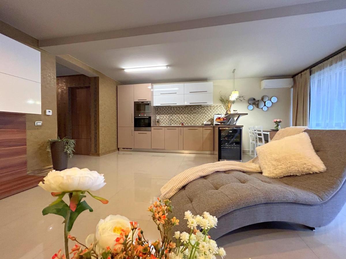 Thea Apartment Timisoara Luaran gambar